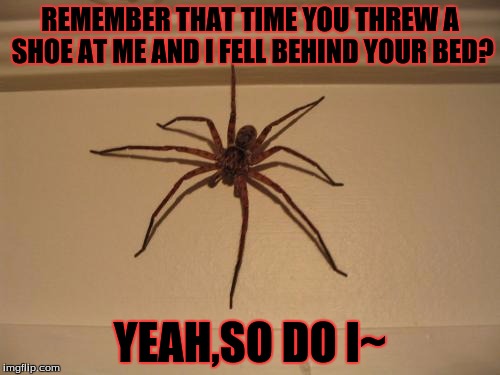 Scumbag Spider | REMEMBER THAT TIME YOU THREW A SHOE AT ME AND I FELL BEHIND YOUR BED? YEAH,SO DO I~ | image tagged in scumbag spider | made w/ Imgflip meme maker