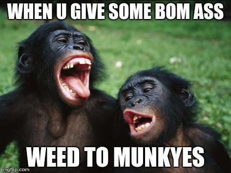 Bonobo Lyfe | WHEN U GIVE SOME BOM ASS; WEED TO MUNKYES | image tagged in memes,bonobo lyfe | made w/ Imgflip meme maker