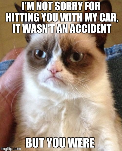 Grumpy Cat | I'M NOT SORRY FOR HITTING YOU WITH MY CAR, IT WASN'T AN ACCIDENT; BUT YOU WERE | image tagged in memes,grumpy cat | made w/ Imgflip meme maker