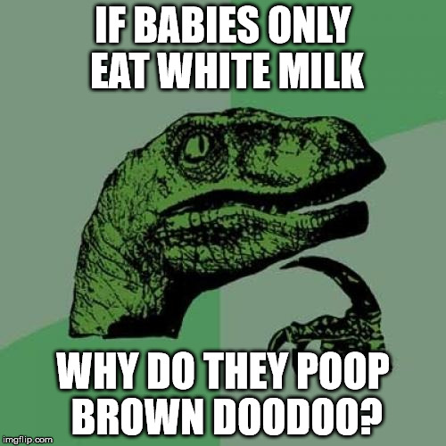 Philosoraptor | IF BABIES ONLY EAT WHITE MILK; WHY DO THEY POOP BROWN DOODOO? | image tagged in memes,philosoraptor | made w/ Imgflip meme maker