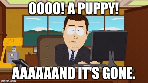 Aaaaand Its Gone Meme | OOOO! A PUPPY! AAAAAAND IT'S GONE. | image tagged in memes,aaaaand its gone | made w/ Imgflip meme maker