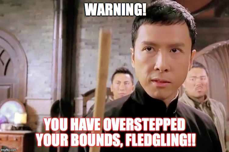 When someone has crossed the line. | WARNING! YOU HAVE OVERSTEPPED YOUR BOUNDS, FLEDGLING!! | image tagged in when someone has crossed the line | made w/ Imgflip meme maker