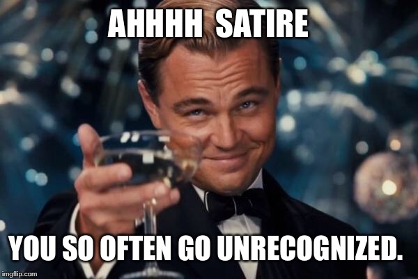 Leonardo Dicaprio Cheers Meme | AHHHH  SATIRE YOU SO OFTEN GO UNRECOGNIZED. | image tagged in memes,leonardo dicaprio cheers | made w/ Imgflip meme maker