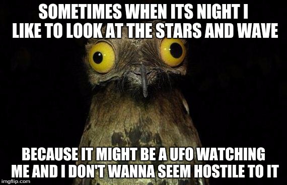 Weird Stuff I Do Potoo Meme | SOMETIMES WHEN ITS NIGHT I LIKE TO LOOK AT THE STARS AND WAVE; BECAUSE IT MIGHT BE A UFO WATCHING ME AND I DON'T WANNA SEEM HOSTILE TO IT | image tagged in memes,weird stuff i do potoo | made w/ Imgflip meme maker