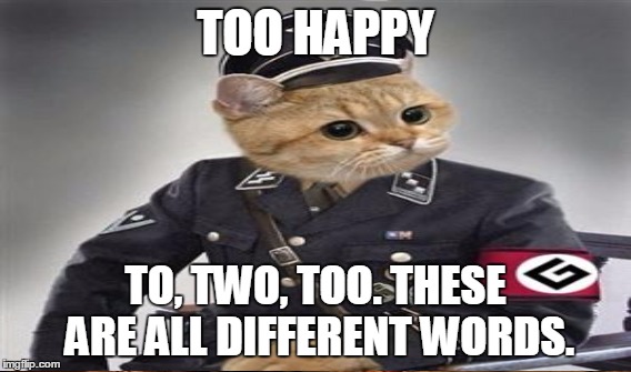TOO HAPPY TO, TWO, TOO. THESE ARE ALL DIFFERENT WORDS. | made w/ Imgflip meme maker