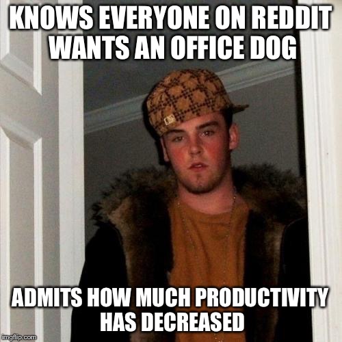 Scumbag Steve Meme | KNOWS EVERYONE ON REDDIT WANTS AN OFFICE DOG; ADMITS HOW MUCH PRODUCTIVITY HAS DECREASED | image tagged in memes,scumbag steve | made w/ Imgflip meme maker