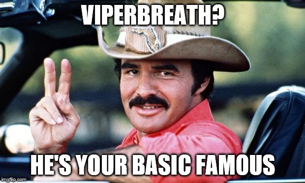 burt | VIPERBREATH? HE'S YOUR BASIC FAMOUS | image tagged in burt | made w/ Imgflip meme maker