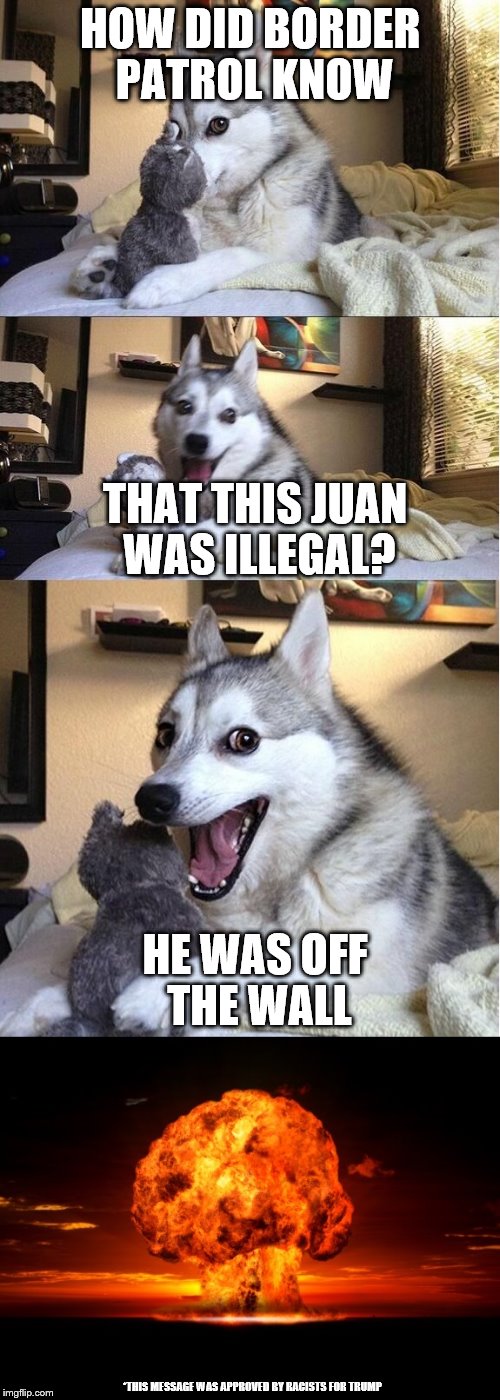 Bad pun goes Boom | HOW DID BORDER PATROL KNOW; THAT THIS JUAN WAS ILLEGAL? HE WAS OFF THE WALL; *THIS MESSAGE WAS APPROVED BY RACISTS FOR TRUMP | image tagged in bad pun goes boom | made w/ Imgflip meme maker