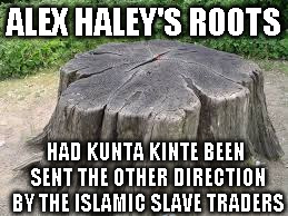 ALEX HALEY'S ROOTS; HAD KUNTA KINTE BEEN SENT THE OTHER DIRECTION BY THE ISLAMIC SLAVE TRADERS | image tagged in tree stump | made w/ Imgflip meme maker