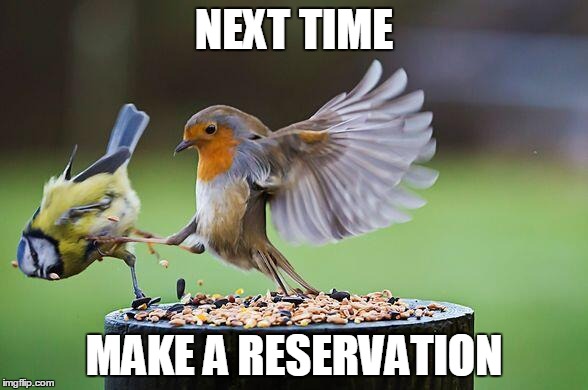 Get in line | NEXT TIME; MAKE A RESERVATION | image tagged in no reservation wait in line,birds,memes | made w/ Imgflip meme maker