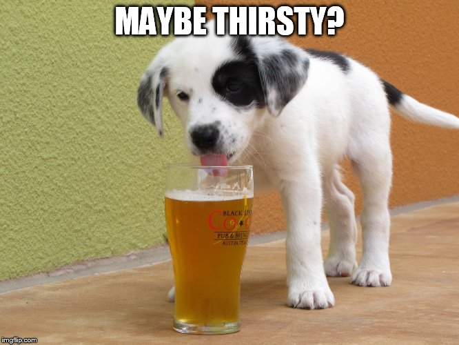 MAYBE THIRSTY? | made w/ Imgflip meme maker