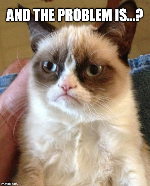 Grumpy Cat Meme | AND THE PROBLEM IS...? | image tagged in memes,grumpy cat | made w/ Imgflip meme maker