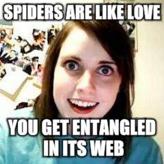 SPIDERS ARE LIKE LOVE YOU GET ENTANGLED IN ITS WEB | made w/ Imgflip meme maker