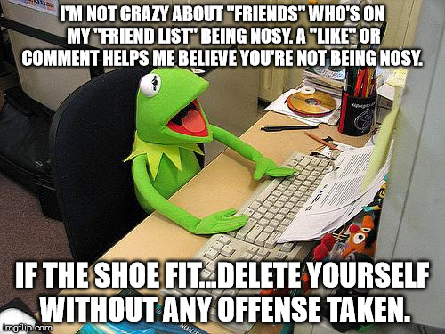 computer kermit | I'M NOT CRAZY ABOUT "FRIENDS" WHO'S ON MY "FRIEND LIST" BEING NOSY. A ''LIKE'' OR COMMENT HELPS ME BELIEVE YOU'RE NOT BEING NOSY. IF THE SHOE FIT...DELETE YOURSELF WITHOUT ANY OFFENSE TAKEN. | image tagged in computer kermit | made w/ Imgflip meme maker