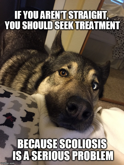 Lou Dog | IF YOU AREN'T STRAIGHT, YOU SHOULD SEEK TREATMENT; BECAUSE SCOLIOSIS IS A SERIOUS PROBLEM | image tagged in dog,doge | made w/ Imgflip meme maker