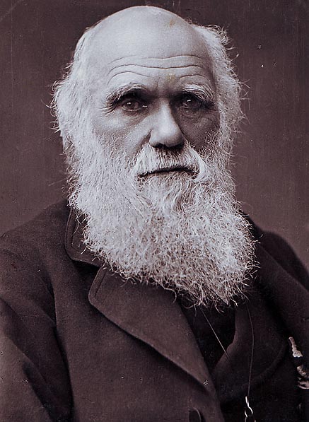 darwin approved Blank Meme Template