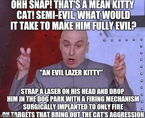 Dr Evil Laser Meme | OHH SNAP! THAT'S A MEAN KITTY CAT! SEMI-EVIL, WHAT WOULD IT TAKE TO MAKE HIM FULLY EVIL? STRAP A LASER ON HIS HEAD AND DROP HIM IN THE DOG P | image tagged in memes,dr evil laser | made w/ Imgflip meme maker