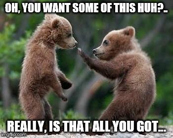 ninja bears | OH, YOU WANT SOME OF THIS HUH?.. REALLY, IS THAT ALL YOU GOT... | image tagged in ninja bears | made w/ Imgflip meme maker