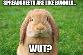 SPREADSHEETS ARE LIKE BUNNIES... WUT? | image tagged in bunny | made w/ Imgflip meme maker