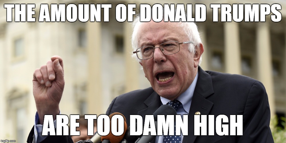 We all need to feel the bern... | THE AMOUNT OF DONALD TRUMPS; ARE TOO DAMN HIGH | image tagged in bernie sanders too damn high,memes,too damn high,bernie sanders,election 2016,donald trump | made w/ Imgflip meme maker