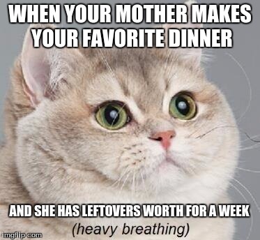 Heavy Breathing Cat Meme | WHEN YOUR MOTHER MAKES YOUR FAVORITE DINNER; AND SHE HAS LEFTOVERS WORTH FOR A WEEK | image tagged in memes,heavy breathing cat | made w/ Imgflip meme maker