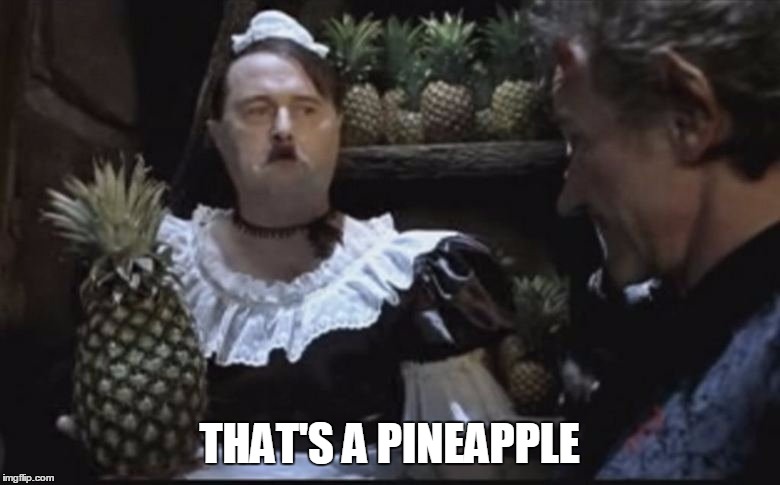 Hitler Pineapple | THAT'S A PINEAPPLE | image tagged in hitler pineapple | made w/ Imgflip meme maker