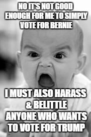 Sanders' supporters; if your candidate is good enough, he'll win. | NO IT'S NOT GOOD ENOUGH FOR ME TO SIMPLY VOTE FOR BERNIE; I MUST ALSO HARASS & BELITTLE ANYONE WHO WANTS TO VOTE FOR TRUMP | image tagged in angry baby | made w/ Imgflip meme maker