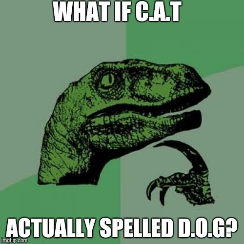 Philosoraptor | WHAT IF C.A.T; ACTUALLY SPELLED D.O.G? | image tagged in memes,philosoraptor | made w/ Imgflip meme maker