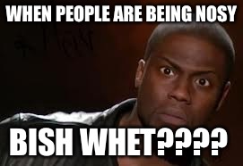 Kevin Hart Meme | WHEN PEOPLE ARE BEING NOSY; BISH WHET???? | image tagged in memes,kevin hart the hell | made w/ Imgflip meme maker