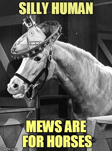 SILLY HUMAN MEWS ARE FOR HORSES | made w/ Imgflip meme maker