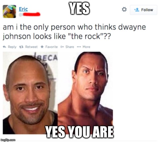 YES; YES YOU ARE | image tagged in dwayne or the rock | made w/ Imgflip meme maker