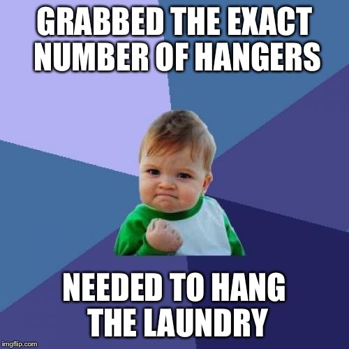 Success Kid Meme | GRABBED THE EXACT NUMBER OF HANGERS; NEEDED TO HANG THE LAUNDRY | image tagged in memes,success kid,AdviceAnimals | made w/ Imgflip meme maker