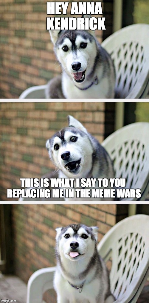 the war is real | HEY ANNA KENDRICK; THIS IS WHAT I SAY TO YOU REPLACING ME IN THE MEME WARS | image tagged in bad pun dog 2 | made w/ Imgflip meme maker