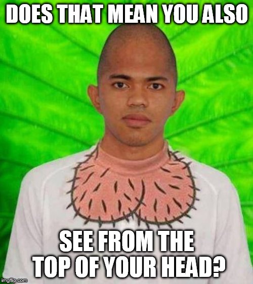 Dickhead Shirt | DOES THAT MEAN YOU ALSO SEE FROM THE TOP OF YOUR HEAD? | image tagged in dickhead shirt | made w/ Imgflip meme maker