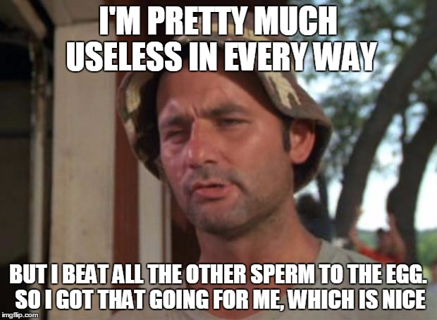 So I Got That Goin For Me Which Is Nice | I'M PRETTY MUCH USELESS IN EVERY WAY; BUT I BEAT ALL THE OTHER SPERM TO THE EGG. SO I GOT THAT GOING FOR ME, WHICH IS NICE | image tagged in memes,so i got that goin for me which is nice | made w/ Imgflip meme maker