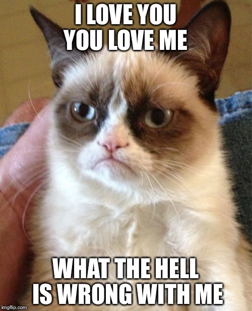 Grumpy Cat Meme | I LOVE YOU YOU LOVE ME; WHAT THE HELL IS WRONG WITH ME | image tagged in memes,grumpy cat | made w/ Imgflip meme maker