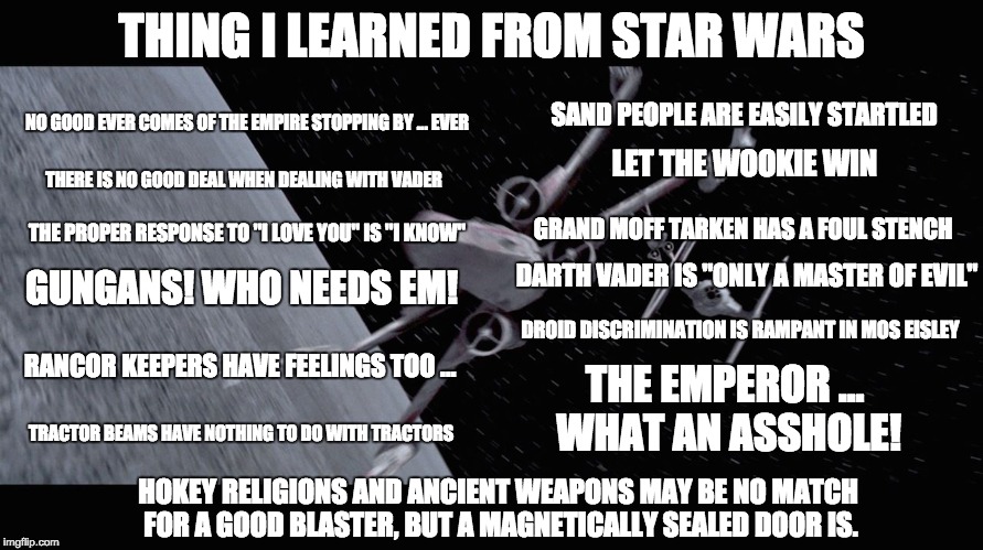 Things I Learned From Star Wars | THING I LEARNED FROM STAR WARS; NO GOOD EVER COMES OF THE EMPIRE STOPPING BY … EVER; SAND PEOPLE ARE EASILY STARTLED; LET THE WOOKIE WIN; THERE IS NO GOOD DEAL WHEN DEALING WITH VADER; GRAND MOFF TARKEN HAS A FOUL STENCH; THE PROPER RESPONSE TO "I LOVE YOU" IS "I KNOW"; DARTH VADER IS "ONLY A MASTER OF EVIL"; GUNGANS! WHO NEEDS EM! DROID DISCRIMINATION IS RAMPANT IN MOS EISLEY; RANCOR KEEPERS HAVE FEELINGS TOO …; THE EMPEROR … WHAT AN ASSHOLE! TRACTOR BEAMS HAVE NOTHING TO DO WITH TRACTORS; HOKEY RELIGIONS AND ANCIENT WEAPONS MAY BE NO MATCH FOR A GOOD BLASTER, BUT A MAGNETICALLY SEALED DOOR IS. | image tagged in star wars | made w/ Imgflip meme maker