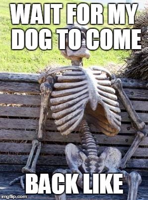Waiting Skeleton Meme | WAIT FOR MY DOG TO COME; BACK LIKE | image tagged in memes,waiting skeleton | made w/ Imgflip meme maker