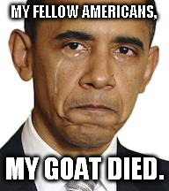 Poor Obummer.... | MY FELLOW AMERICANS, MY GOAT DIED. | image tagged in obama crying,loss,goat,funny,meme | made w/ Imgflip meme maker