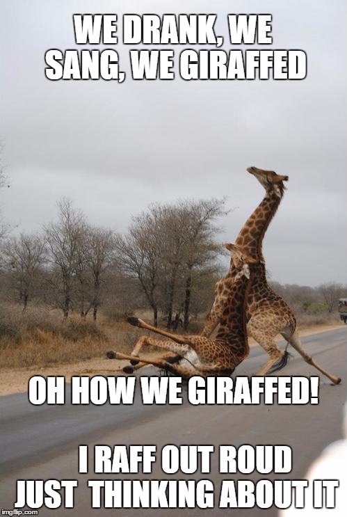 reminiscing giraffe | WE DRANK, WE SANG, WE GIRAFFED; OH HOW WE GIRAFFED!                


I RAFF OUT ROUD JUST  THINKING ABOUT IT | image tagged in falling giraffe,lol,go home youre drunk,drunk guy,laugh out loud | made w/ Imgflip meme maker