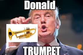 Trumpet | Donald; TRUMPET | image tagged in donald trump,trumpet,donald trump plays trumpet | made w/ Imgflip meme maker
