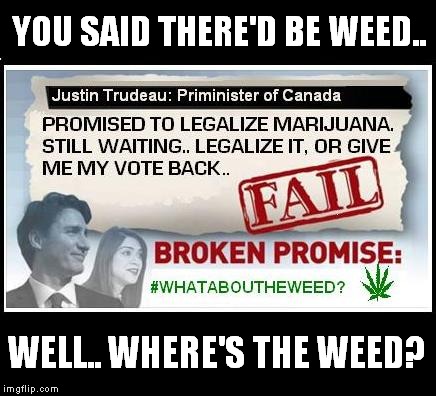 YOU SAID THERE'D BE WEED.. WELL.. WHERE'S THE WEED? | image tagged in what about the weed | made w/ Imgflip meme maker