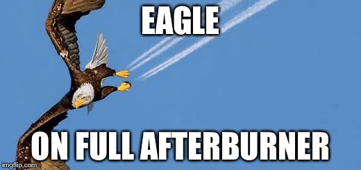 Eagle strike | EAGLE ON FULL AFTERBURNER | image tagged in eagle strike | made w/ Imgflip meme maker
