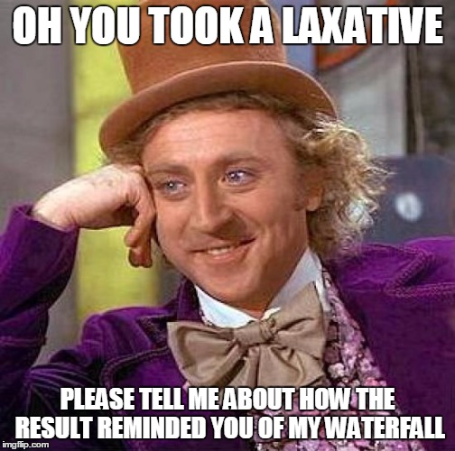 Creepy Condescending Wonka Meme | OH YOU TOOK A LAXATIVE PLEASE TELL ME ABOUT HOW THE RESULT REMINDED YOU OF MY WATERFALL | image tagged in memes,creepy condescending wonka | made w/ Imgflip meme maker