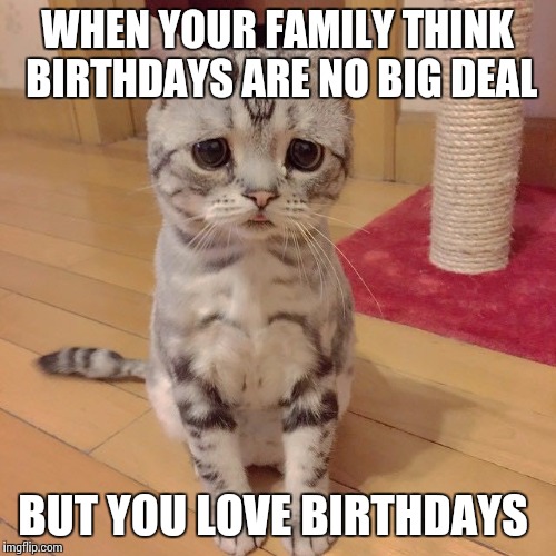 WHEN YOUR FAMILY THINK BIRTHDAYS ARE NO BIG DEAL; BUT YOU LOVE BIRTHDAYS | image tagged in birthday | made w/ Imgflip meme maker