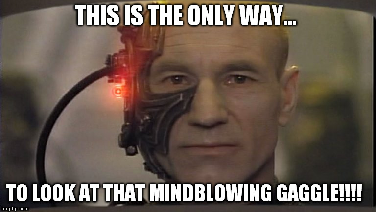 THIS IS THE ONLY WAY... TO LOOK AT THAT MINDBLOWING GAGGLE!!!! | made w/ Imgflip meme maker
