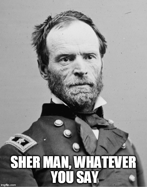 SHER MAN, WHATEVER YOU SAY | made w/ Imgflip meme maker