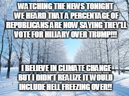 winter | WATCHING THE NEWS TONIGHT WE HEARD THAT A PERCENTAGE OF REPUBLICANS ARE NOW SAYING THEY'LL VOTE FOR HILLARY OVER TRUMP!!! I BELIEVE IN CLIMATE CHANGE BUT I DIDN'T REALIZE IT WOULD INCLUDE HELL FREEZING OVER!! | image tagged in winter | made w/ Imgflip meme maker