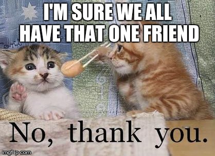 We all have that one friend | I'M SURE WE ALL HAVE THAT ONE FRIEND | image tagged in cats,friendship | made w/ Imgflip meme maker