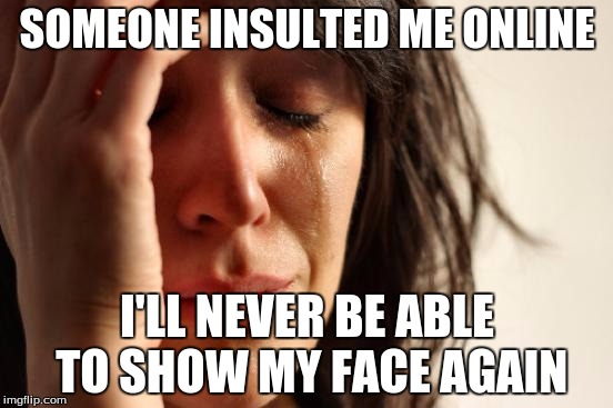 And in case you didn't know, this is sarcasm <3 | SOMEONE INSULTED ME ONLINE; I'LL NEVER BE ABLE TO SHOW MY FACE AGAIN | image tagged in memes,first world problems | made w/ Imgflip meme maker
